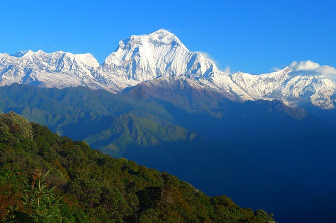 Annapurna Base Camp Trek -8 days - Descend to Bamboo: smart recovery built into the route