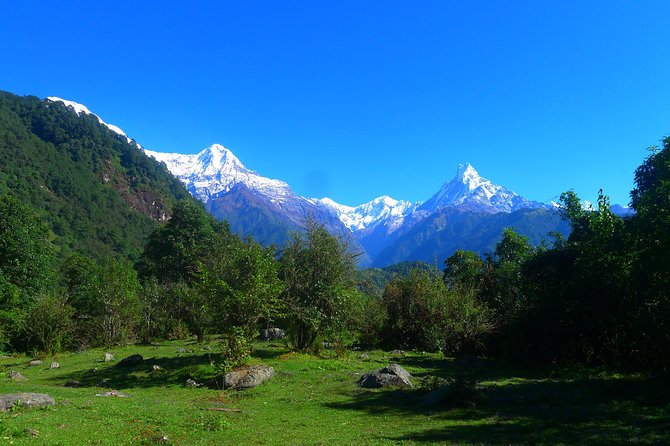 Annapurna Base Camp Trek -8 days - Jhinu Danda hot springs: the reward near the Modi River