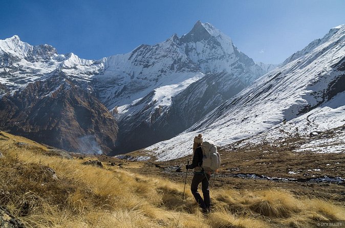 Annapurna Base Camp Trek from Pokhara and Kathmandu - Day 3: Chhomrong to Dovan and the Rhododendron Push