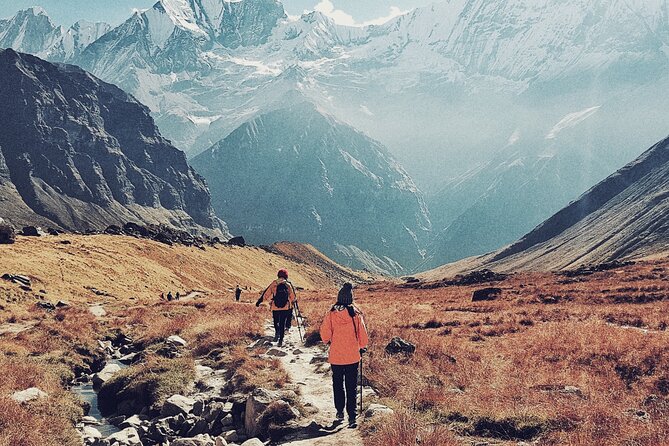Annapurna Base Camp Trekking - Key Highlights You’ll Actually Feel