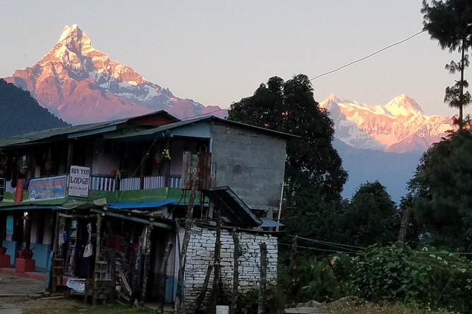 Annapurna Base Camp Trekking - 14 Days - Hile to Ghorepani (and Tadapani): Rhododendron Country and Higher Sleeping