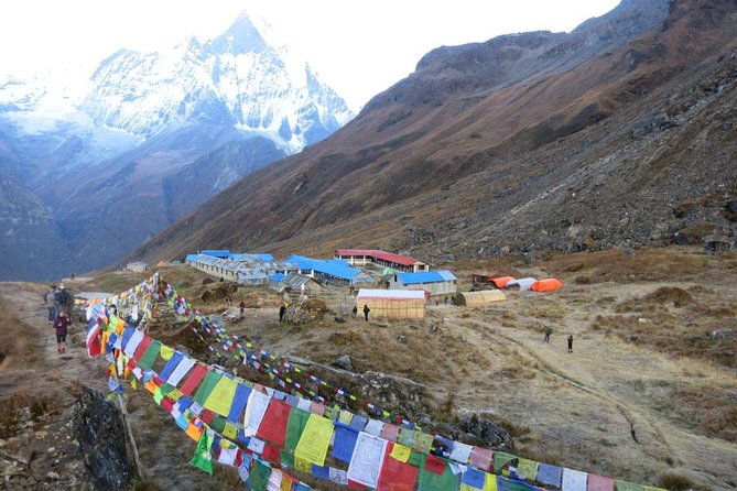 Annapurna Base Camp Trekking - 14 Days - Machhapuchre Base Camp Day: 3,700m and a Clear Sense of Place