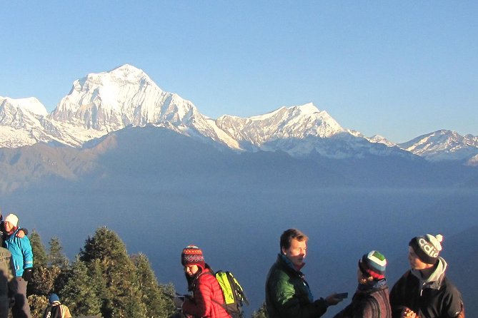 Annapurna Base Camp Trekking - 14 Days - Annapurna Base Camp at 4,130m: The Day the Route Pays You Back
