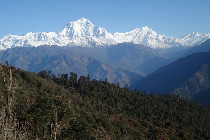 Annapurna Base Camp Trekking - Doban and Deurali: quieter stretches that test patience (in a good way)