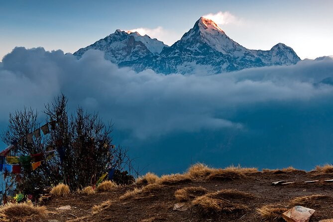 Annapurna Circuit Trek - Ghorepani and Poon Hill: the last big viewpoint play