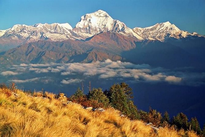Annapurna Ghorepani Poonhill Trekking - What stands out on this trek (key takeaways)