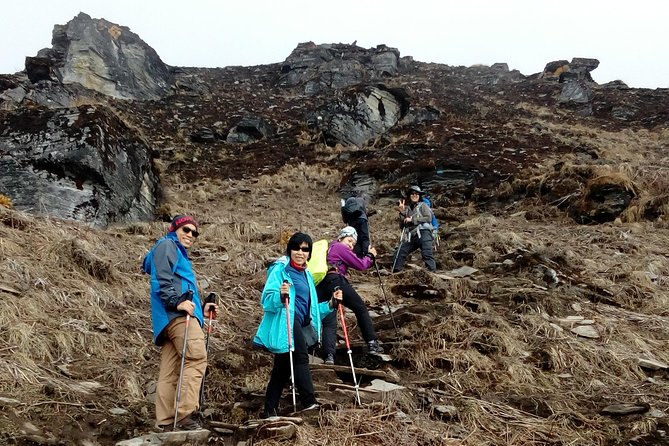 Annapurna: Mardi Himal Base Camp Trek - Mardi Himal Base Camp at 4500m: the payoff day