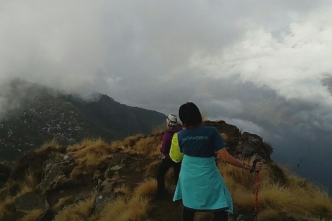 Annapurna: Mardi Himal Base Camp Trek - The descent back through forests: where your legs will negotiate
