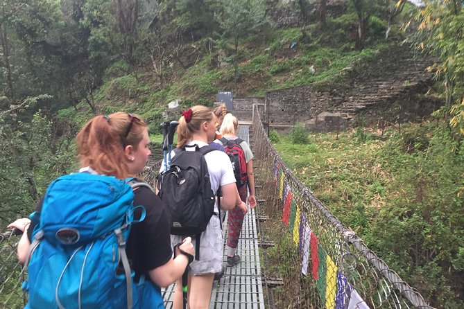 Annapurna Poonhill Trek - Why the Poon Hill Sunrise Is Worth the 4 a.m. Stretch