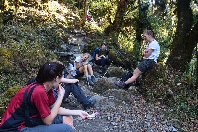 Annapurna Poonhill Trek - Trek Day by Day: Ulleri Steps, Ghorepani Views, and the Poon Hill Loop