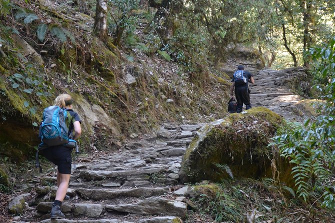 Annapurna Poonhill Trek - From Tadapani to Ghandruk: Forest Switchbacks and the Gurung Village Feel