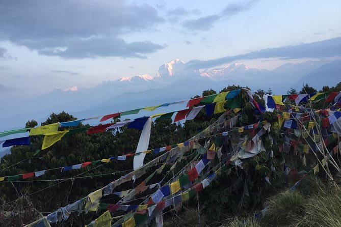 Annapurna Poonhill Trek - Ghandruk to Dhampus and Phedi: Terraces, Village Views, and a Controlled Finish