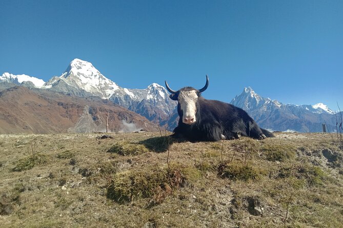 Annapurna View Trek - What to pack and how to pace yourself (so Day 2 doesn’t bite)