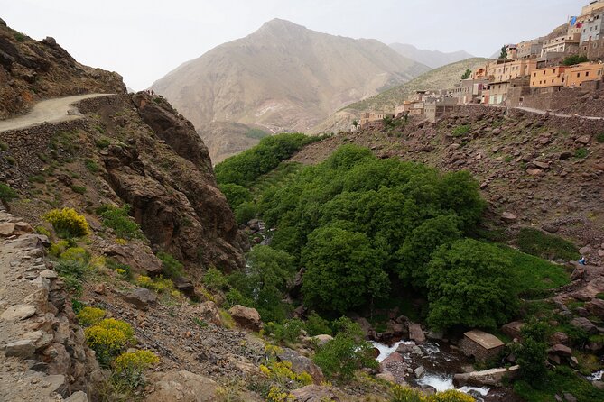 Atlas Mauntains and 3 Valleys Trek - Day 1: Juniper and Pine Trails Toward Rivers and Groves