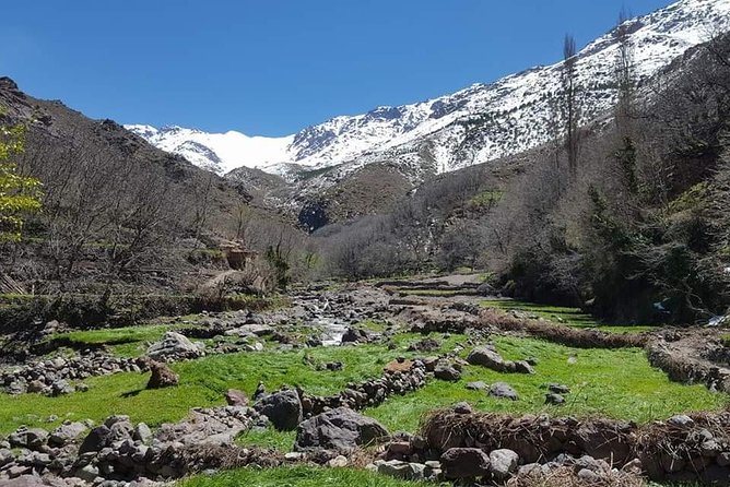 Atlas Mountains Day Trek - Atlas Mountains From Marrakech: How the Day Fits (and What It Costs)