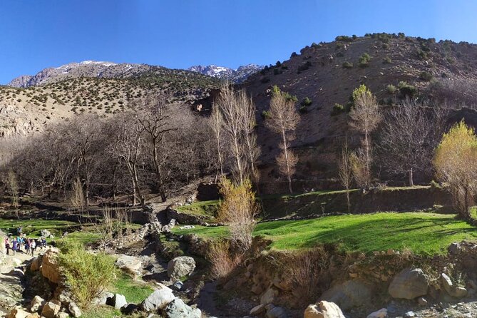 Atlas Mountains Day Trek - Lunch in a Berber Village: Included, Cultural, and Worth Timing