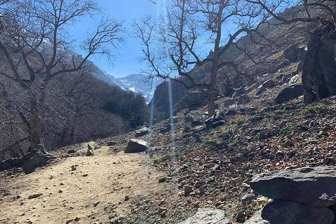 Atlas Mountains, Waterfalls Day Hike & Trek From Marrakech - Small group hiking with pickup: the comfort factors that matter