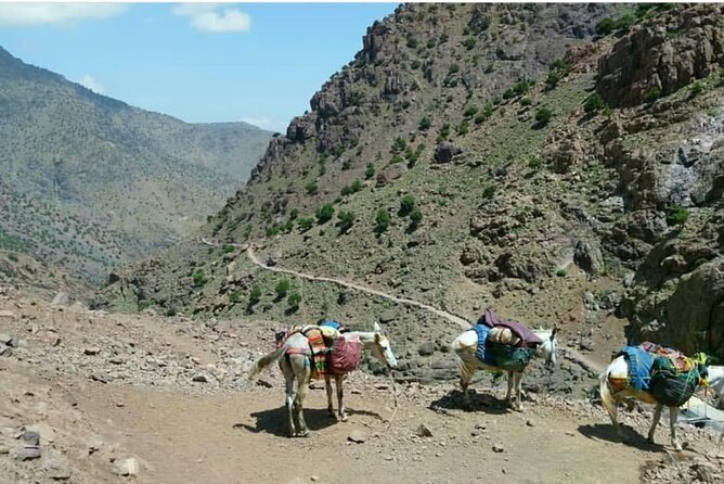 Atlas Valleys & Mount Toubkal Private 3 Days Trek From Marrakech - Price and value: what $255.52 buys you (and what it doesn’t)