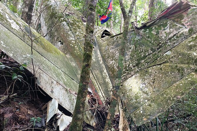 Aural Mountain Trek: Cambodia Tallest Peak Challenge - Sleeping under the trees and the stars after the peak