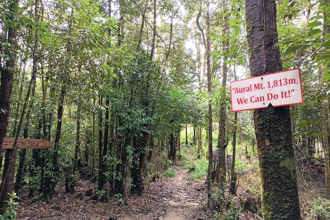 Aural Mountain Trek: Cambodia Tallest Peak Challenge - The plane crash site: history you can stand beside