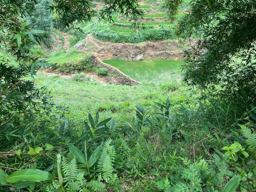 AUTHENIC 2D1N Trek & Bungalow Retreat with Dinh Hmong Family - Buffalo, marriage traditions, and farming life: what you should pay attention to