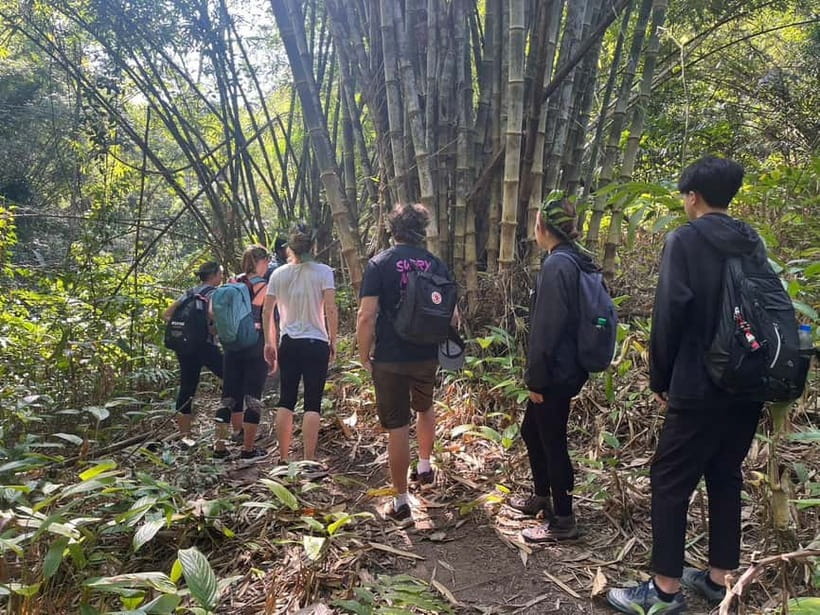 Authentic trek only walk in Chiang Rai jungle - Key highlights you’ll feel from the first hour