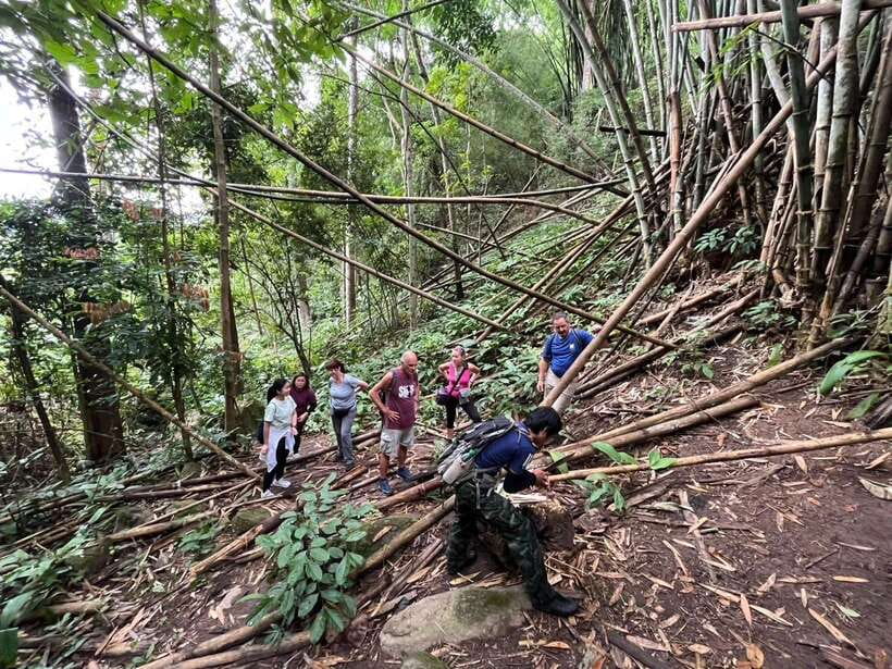 Authentic trek only walk in Chiang Rai jungle - What to pack for this 9-hour day (and why it matters)