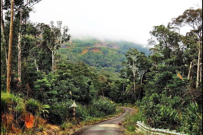 Ba Ho waterfalls ( Trekking + Swimming + Jumping +Amazing Nature) - Ba Ho Waterfalls near Nha Trang: what you actually do