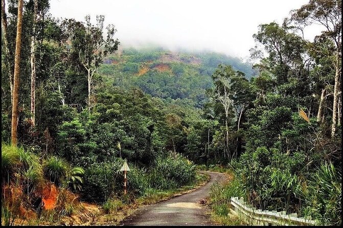 Ba Ho waterfalls ( Trekking + Swimming + Jumping +Amazing Nature) - Guide and group size: why the experience feels organized