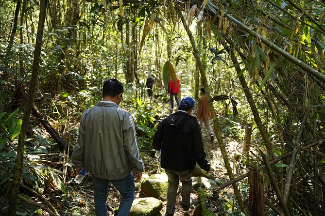 Bach Ma National Park trekking daily tour from Da Nang, Hoi An - Five Lakes (Ngu Ho): where swimming, climbing rocks, and lunch happen