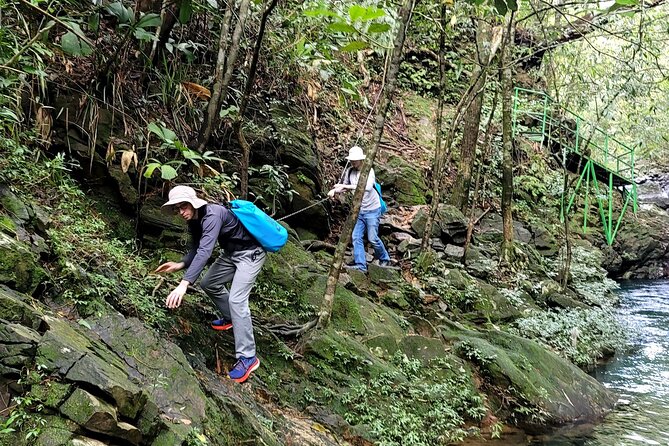 Bach Ma National Park trekking daily tour from Da Nang, Hoi An - Group size, pacing, and safety on wet jungle trails