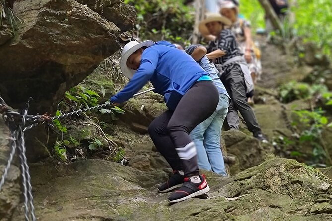 Bach Ma National Park trekking deluxe daily tour from Hue - What makes Bach Ma National Park a smart Hue day trip