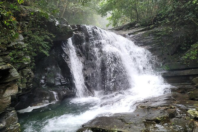 Bach Ma National Park trekking deluxe daily tour from Hue - How hard is this trek, really? Mud, rain, and cold-water reality