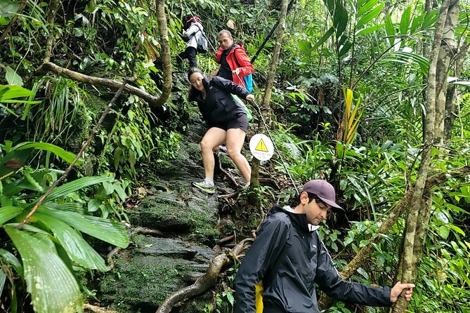 Bach Ma National Park trekking deluxe daily tour from Hue - Who this tour fits best (and who should choose differently)