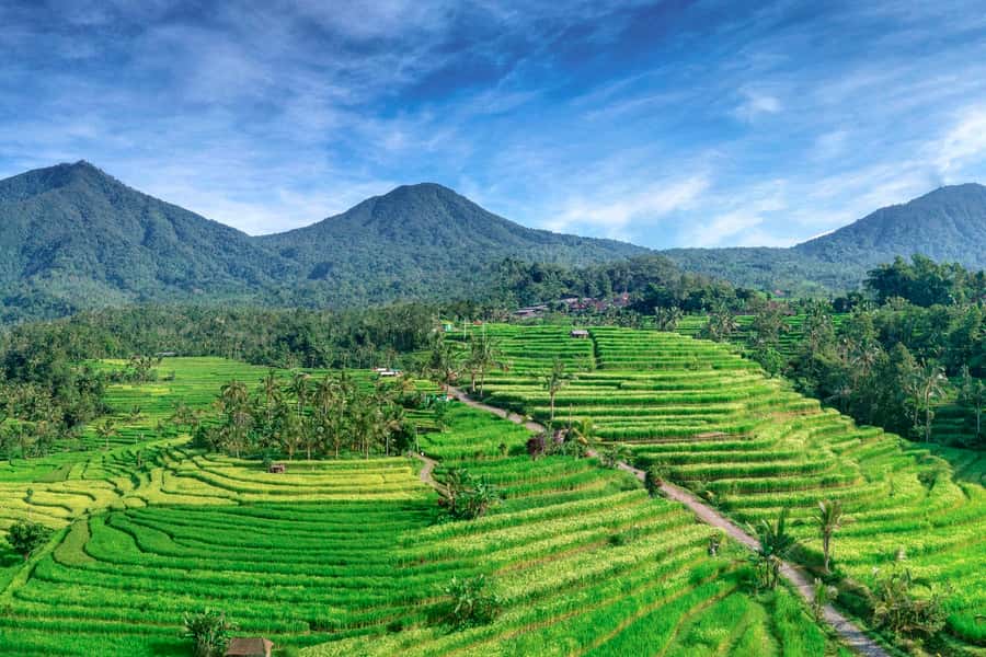 Bali: Jatiluwih Full-Day E-Bike and Trekking Tour - Key things to know before you go
