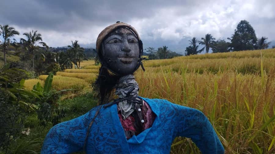 Bali: Jatiluwih Full-Day E-Bike and Trekking Tour - UNESCO Jatiluwih: The Four-Volcano Viewpoint Moment