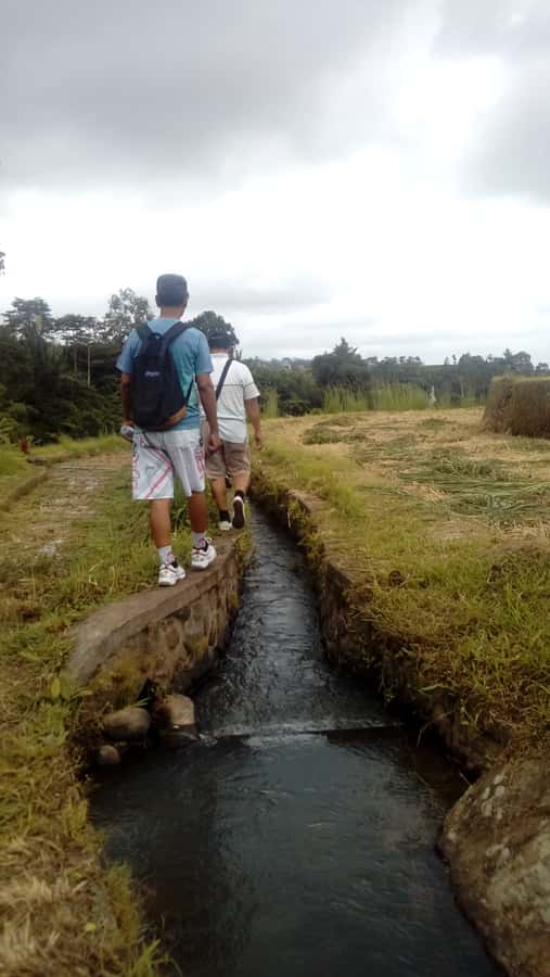 Bali: Jatiluwih Full-Day E-Bike and Trekking Tour - The 2.5-Hour Trek: Rivers, Rice Fields, and a Few Quieter Corners