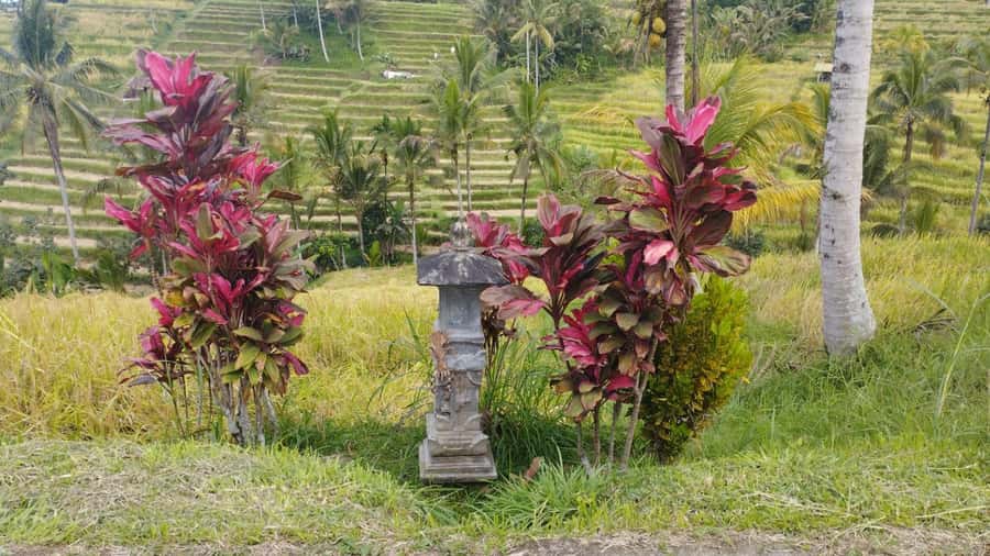 Bali: Jatiluwih Full-Day E-Bike and Trekking Tour - From Pura Luhur Batukaru: The E-Bike Portion You’ll Remember