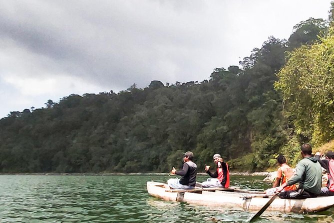 Bali Jungle Trekking and Lake Canoeing Tour - Tamblingan Lake jungle walk: banyan trees and in-between forests