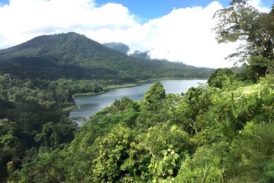 Bali Jungle Trekking in Beautiful Rainforest - Your Guide Keeps You On Track in the Rainforest (That’s the Whole Point)