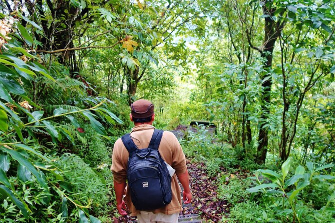 Bali Jungle Trekking in Beautiful Rainforest - Stop 2: Buyan Lake (Bali’s Twin Lake) and Why Two Lakes Make Sense