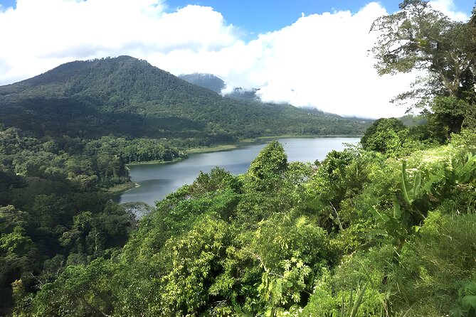 Bali Jungle Trekking in Beautiful Rainforest - Your Guide Keeps You On Track in the Rainforest (That’s the Whole Point)