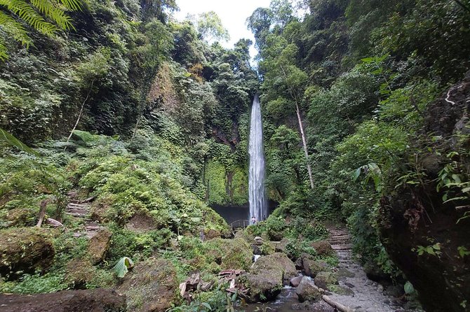Bali Most Scenic Waterfalls Trekking - Getting There: Hotel Pickup and the $35 Value Math