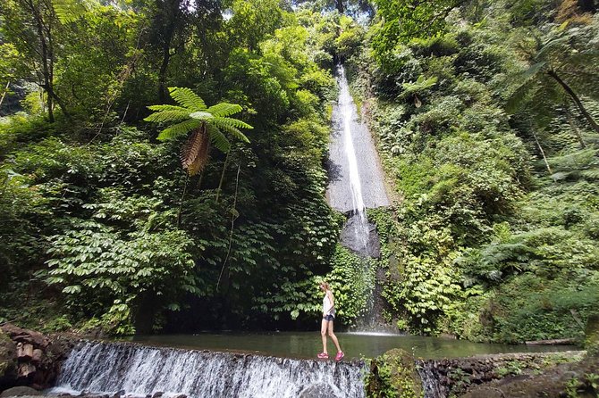 Bali Most Scenic Waterfalls Trekking - Temples and the Handara Gate: What to Expect Before the Waterfalls