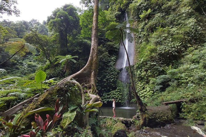 Bali Most Scenic Waterfalls Trekking - Lakes and Rice Terraces: The Calm Scenery Breaks