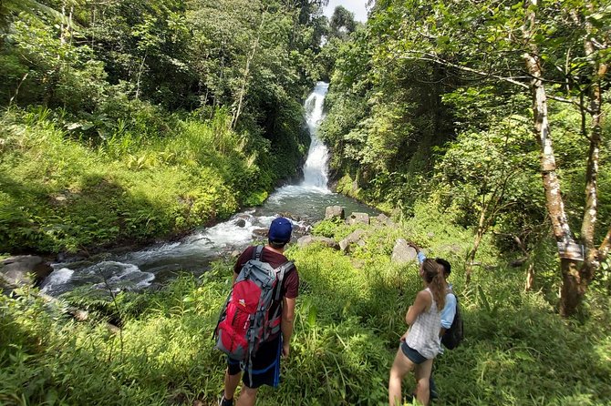 Bali Most Scenic Waterfalls Trekking - The Trek Rhythm in Wanagiri Hills (and Why Private Helps)