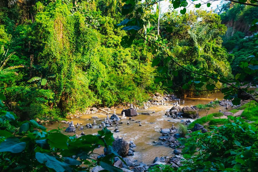 Bali: Mount Batur Sunrise Trek and White Water Rafting - Who this Bali adventure suits (and who should skip it)