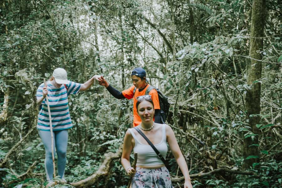 Bali: Munduk Waterfalls Trek, Twin Lakes and Temple Tour - Key Things I’d Plan Around in Munduk