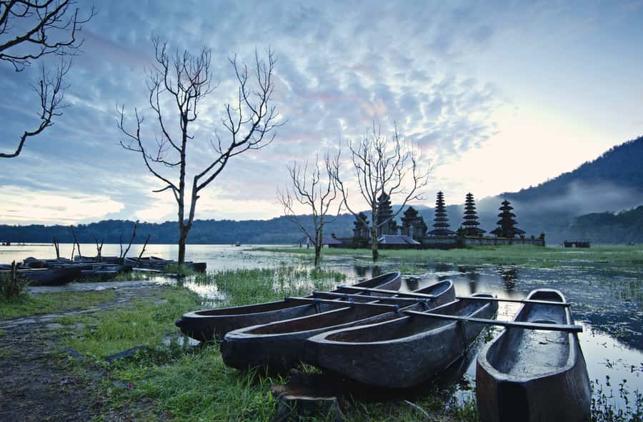 Bali: Munduk Waterfalls Trek, Twin Lakes and Temple Tour - Morning Pickup and the First Big View Over Tamblingan and Buyan