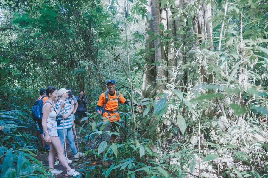 Bali: Munduk Waterfalls Trek, Twin Lakes and Temple Tour - Exploring Buyan and Tamblingan Lakes by the Water’s Edge